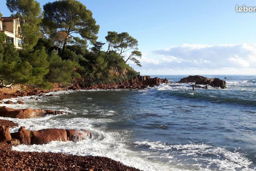 La Corniche D'Or A St Raphael Διαμέρισμα Saint-Raphaël Εξωτερικό φωτογραφία